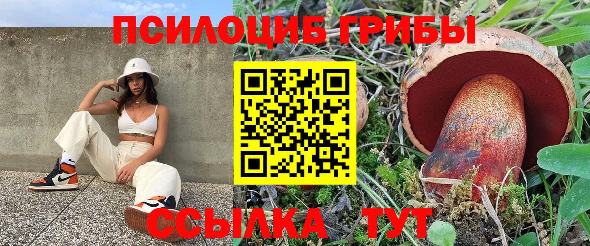 Псилоцибиновые грибы Magic Shrooms Можга