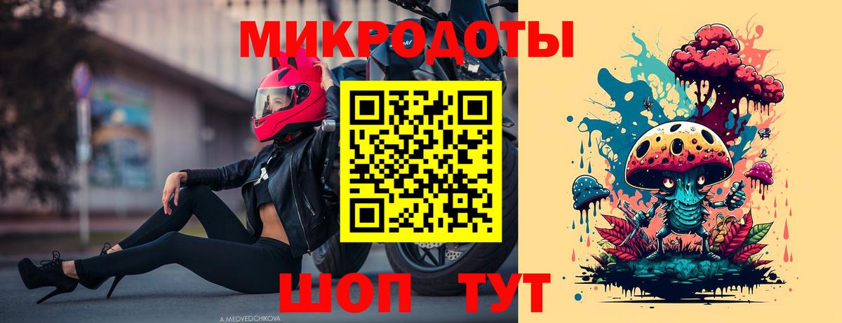 Галлюциногенные грибы Psilocybine cubensis Можга