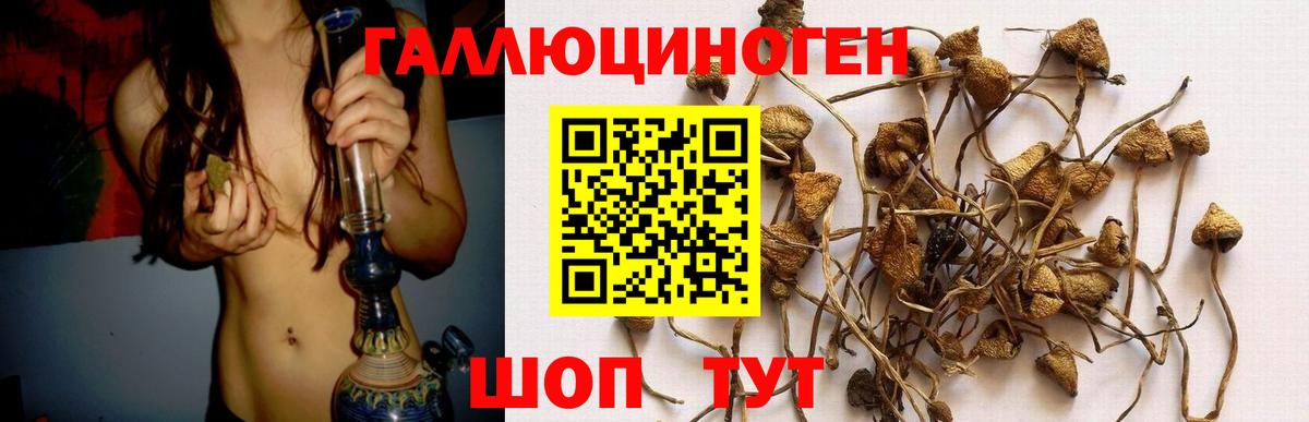 Псилоцибиновые грибы прущие грибы  где найти наркотики  Можга  Вход с VPN 