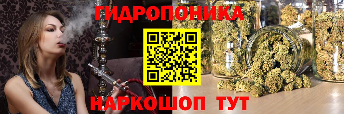 МАРИХУАНА OG Kush Можга